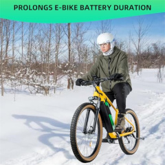 Ebike Battery Case for Integrated Frame Battery