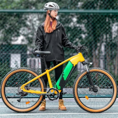 Ebike Battery Case for Integrated Frame Battery