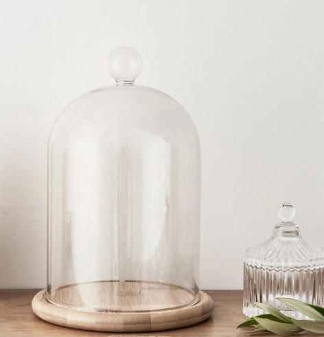 Glass Cloche Bell Jar