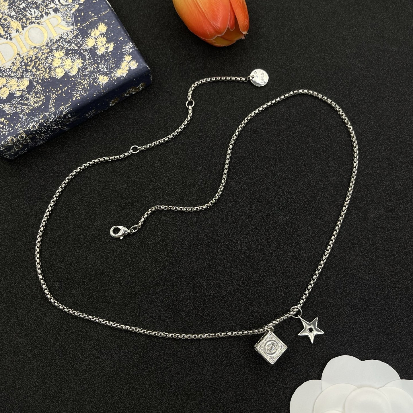 Dior Necklace