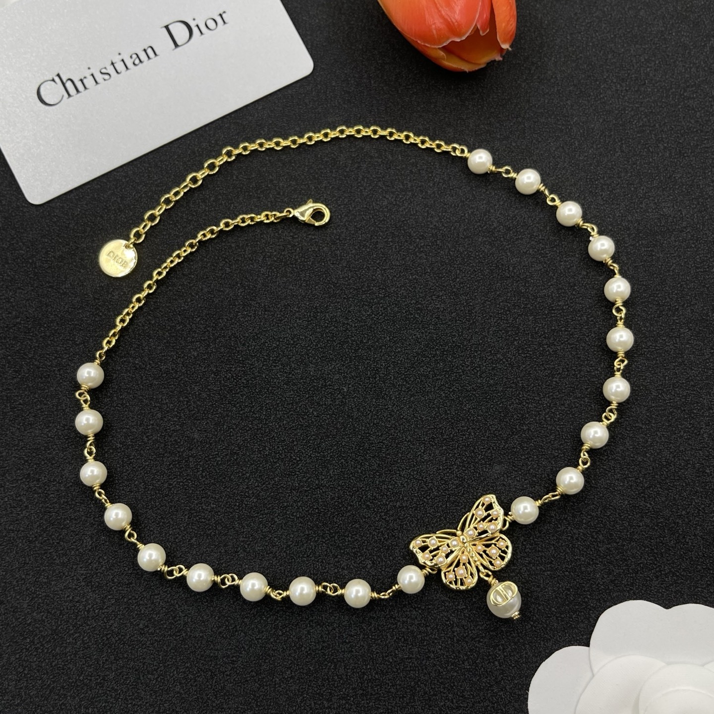 Dior Necklace