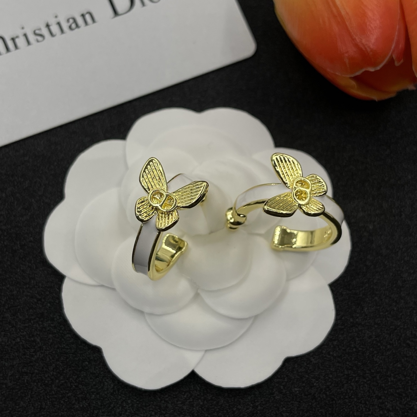 Dior Earrings