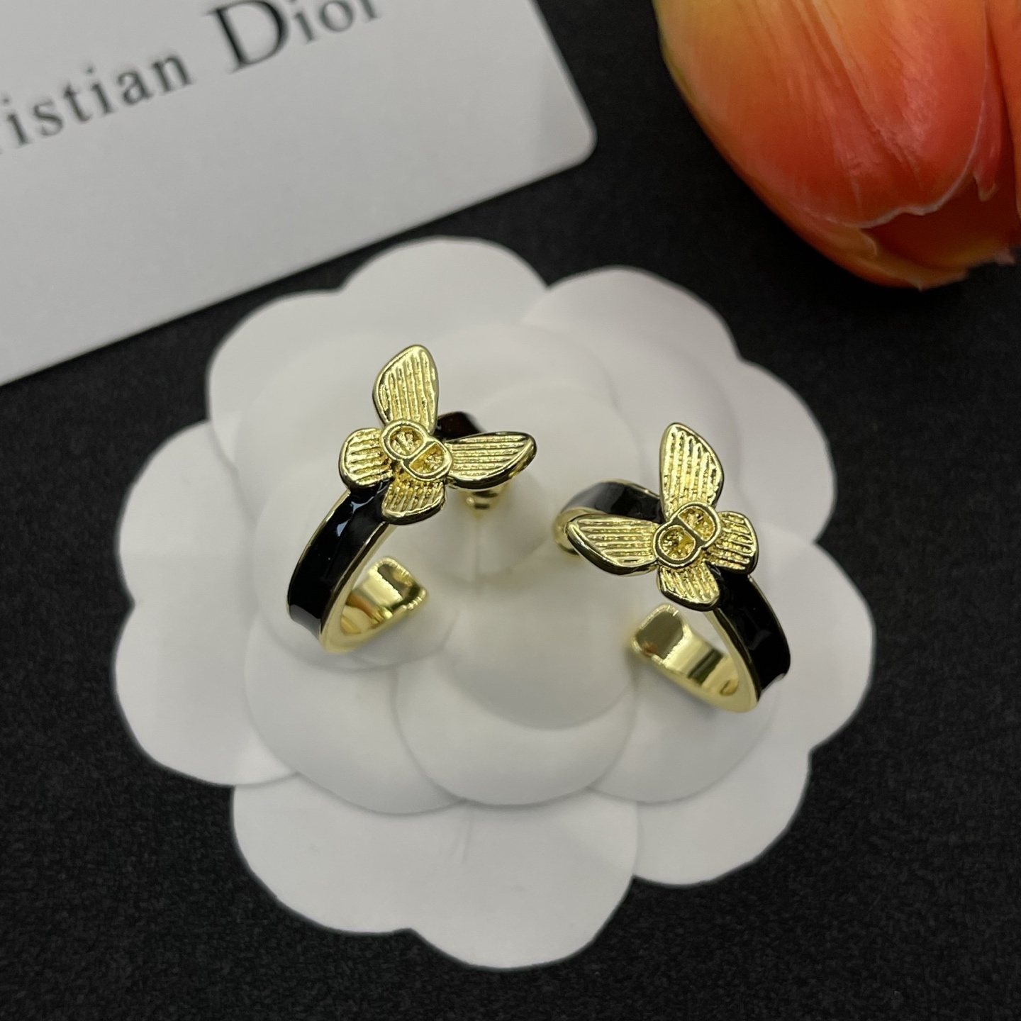 Dior Earrings