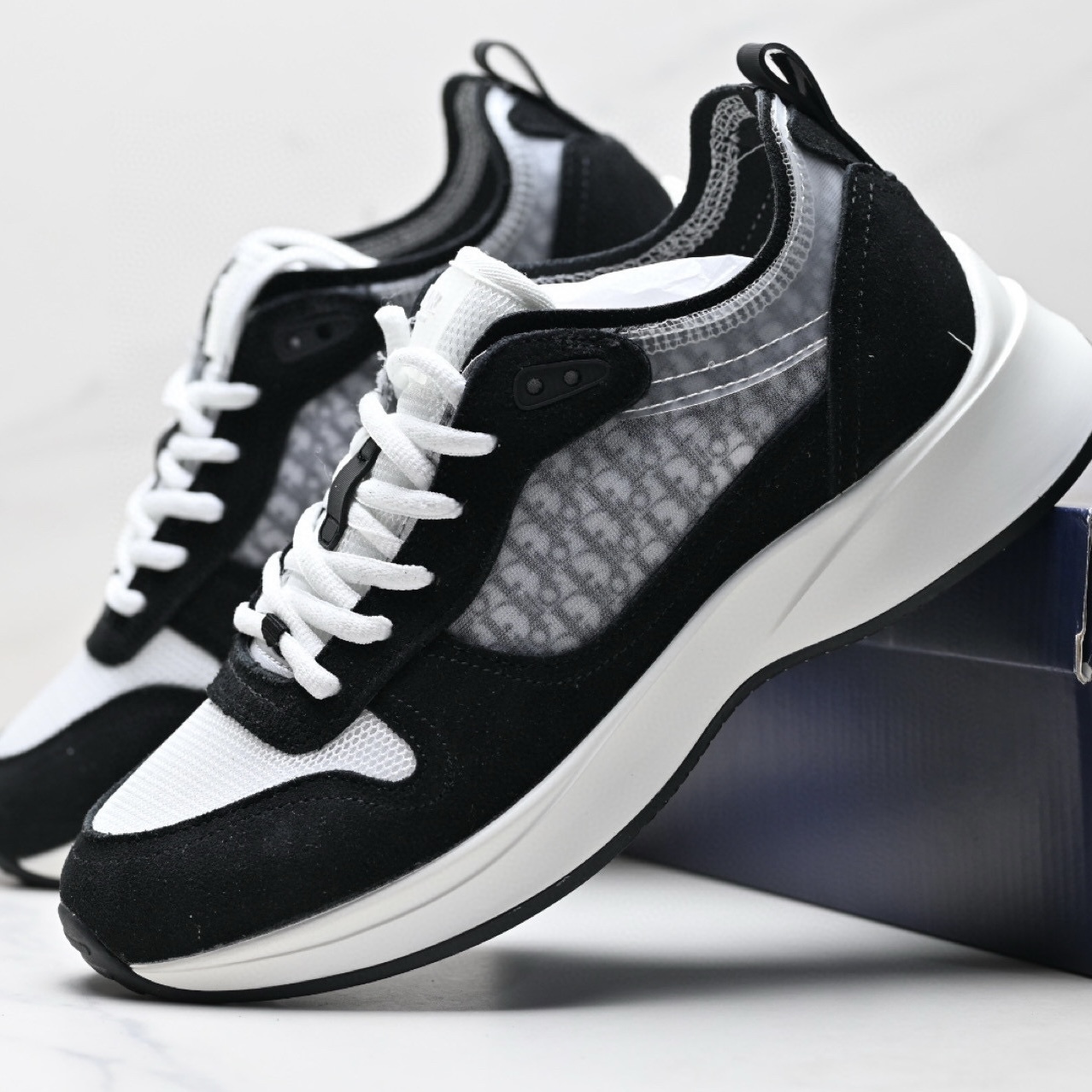 Dior B25