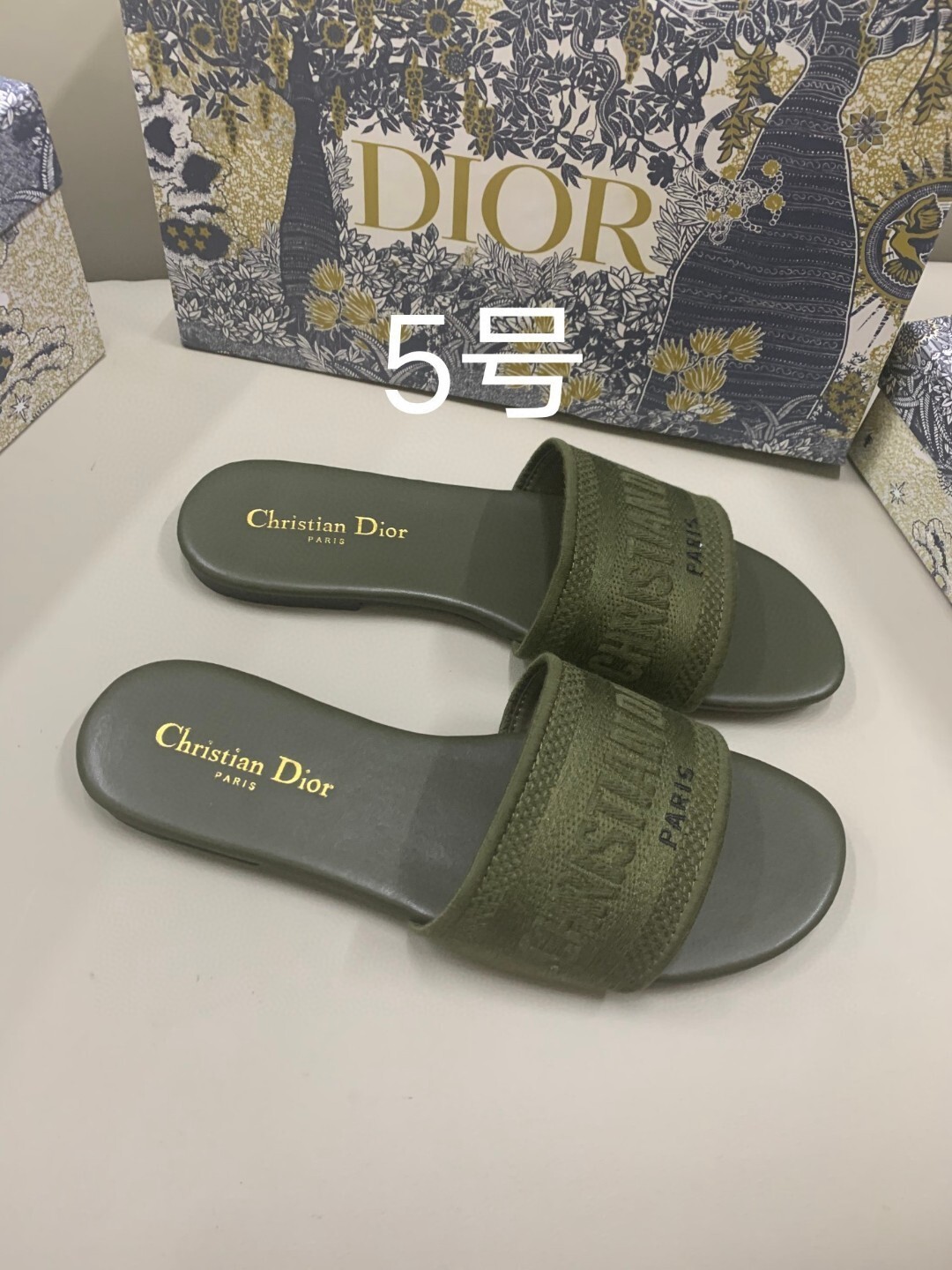 Dior Dway Slide Sandal