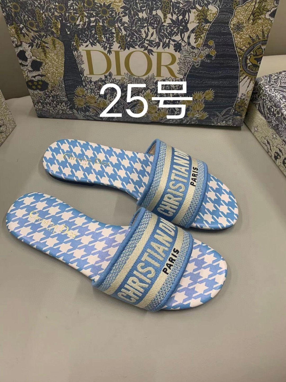 Christian Dior Dway Slide Sandal
