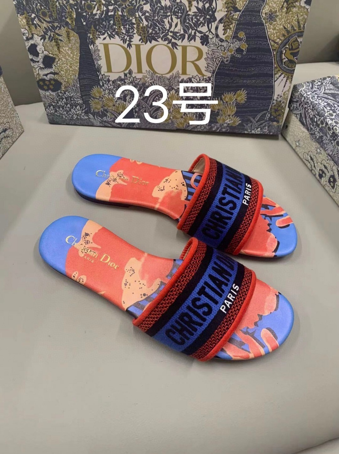 Christian Dior Dway Slide Sandal