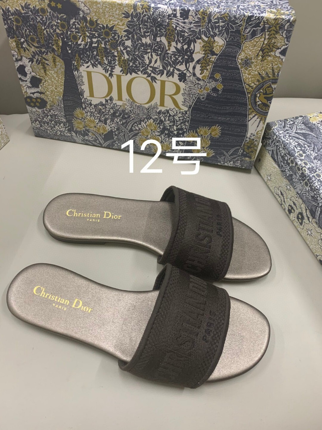 Dior Dway Slide Sandal