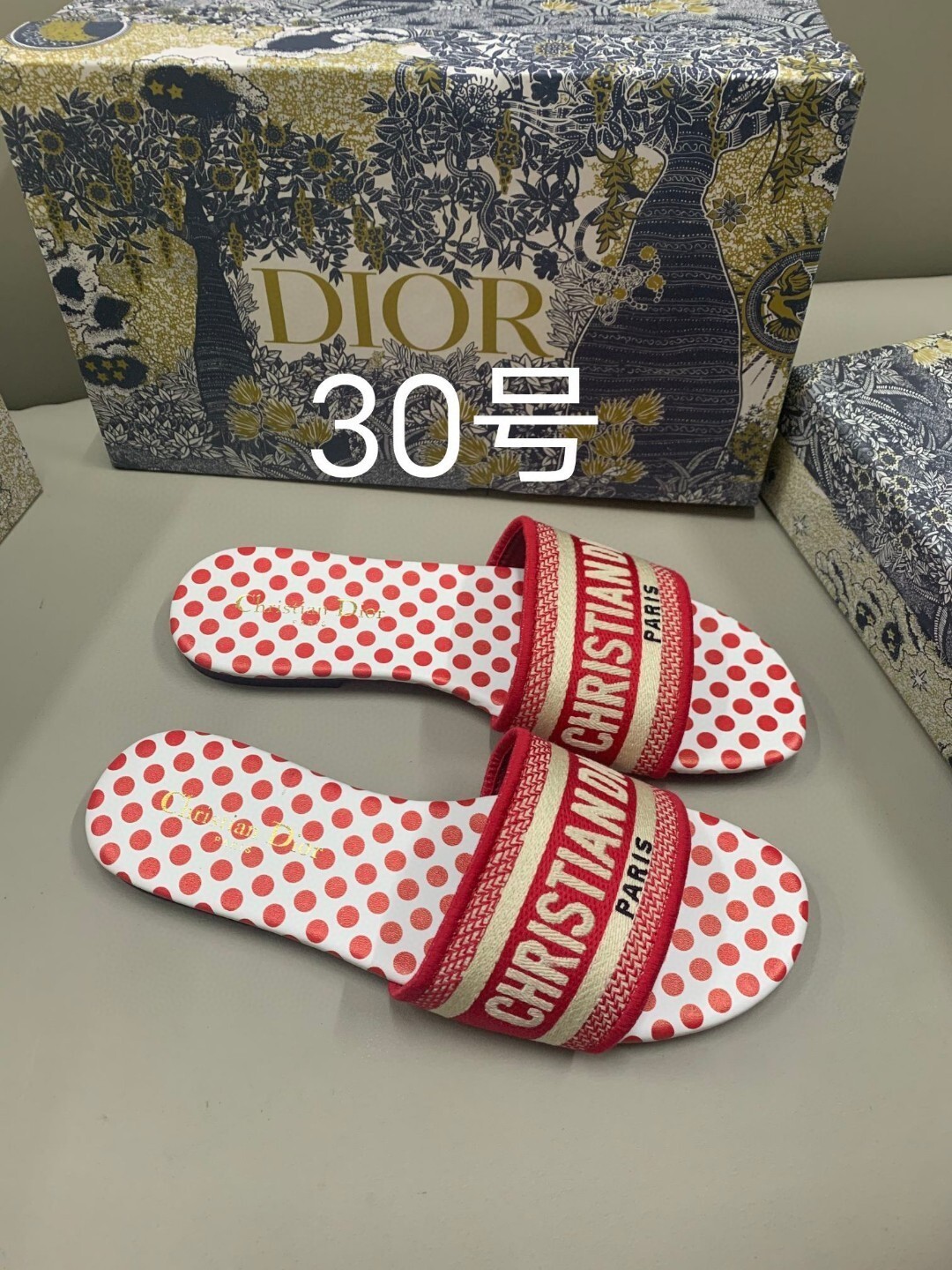 Christian Dior Dway Slide Sandal