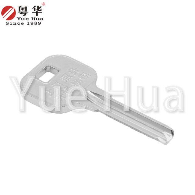 Advertising Gold Point Atom 4th Gen GY Advertising Atom Key Blank Door Lock Key Blank Atom Key