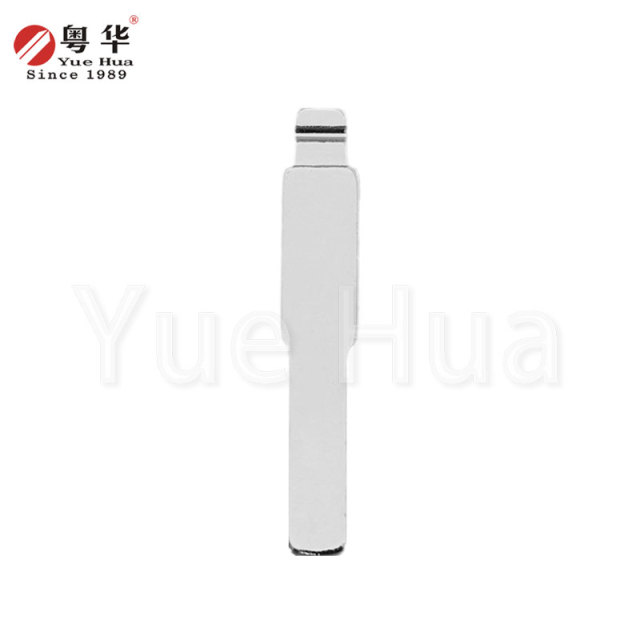 Quick Delivery Designer Key Blanks Remote Key Blade Blank Uncut Metal Key Blade for Electric Car