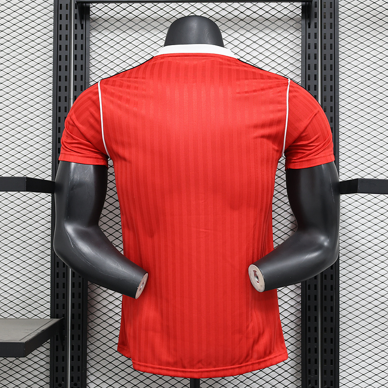 Player 2024-25 Manchester United special edition Football jersey