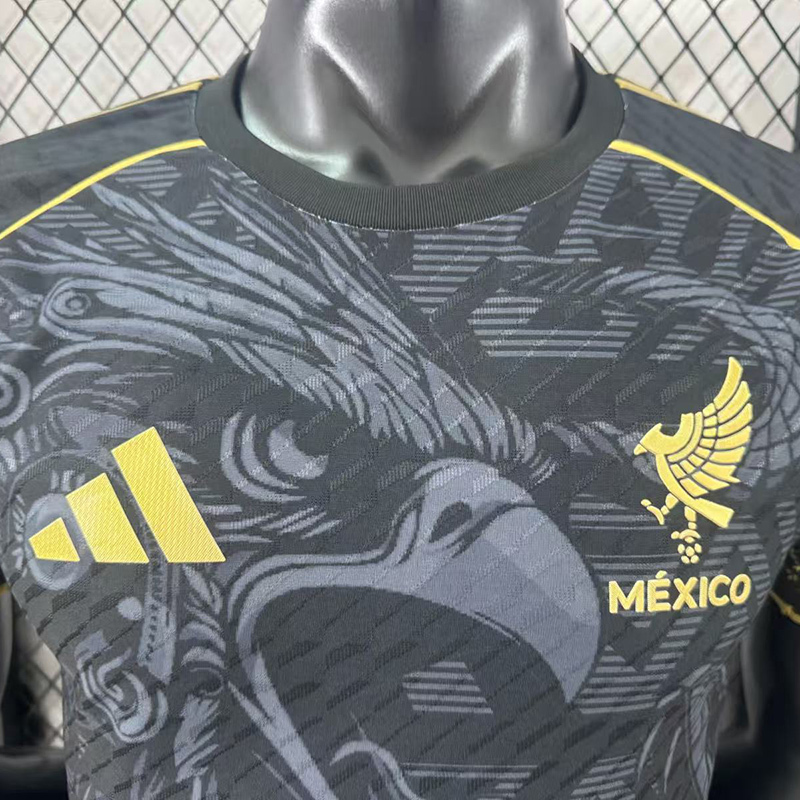 Player 2025-26 Mexico Special Edition Football jersey
