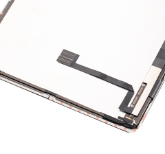 iPad Pro 12.9_ 4th Gen (2020)
