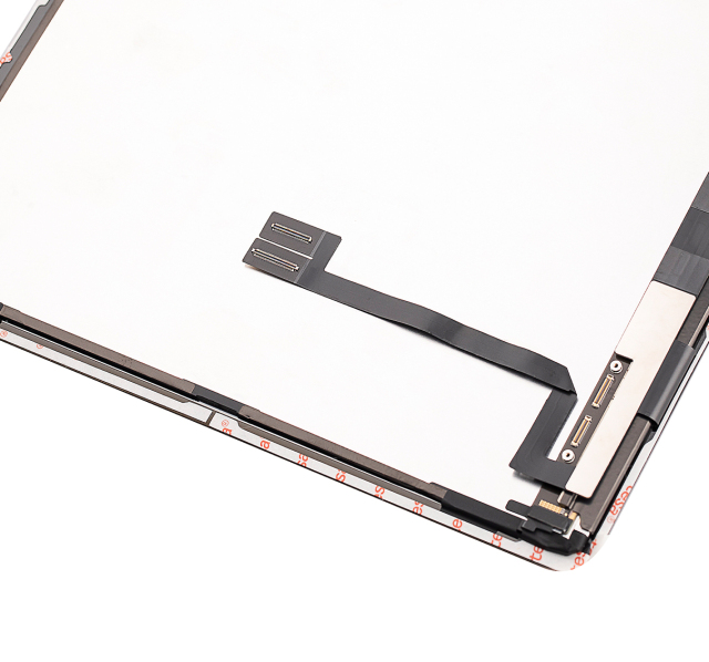 iPad Pro 12.9_ 4th Gen (2020)