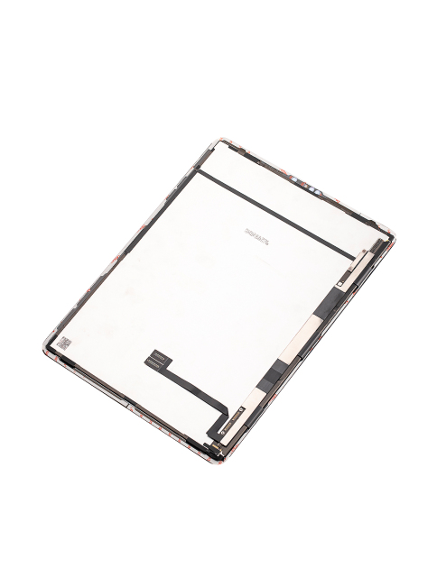 iPad Pro 12.9_ 4th Gen (2020)