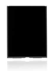 iPad 9 (2021)