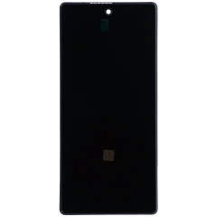 OLED Assembly With Frame (Without Fingerprint Sensor) For Google Pixel 6