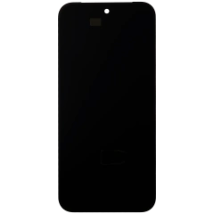 OLED Assembly With Frame (With Fingerprint Sensor) Compatible For Google Pixel 10 Pro XL