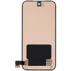 Outer Screen (Secondary Screen) OLED Assembly Without Frame For Google Pixel 10 Pro Fold