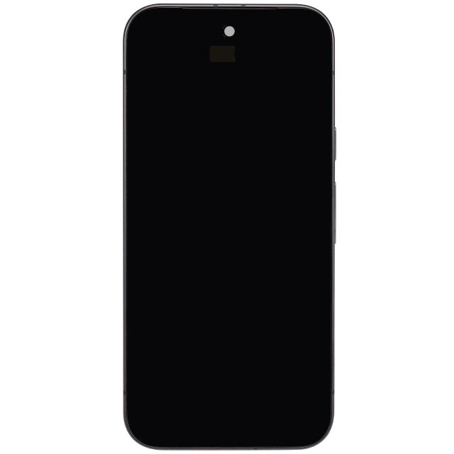 OLED Assembly With Frame (With Fingerprint Sensor ) For Google Pixel 9A (Obsidian)