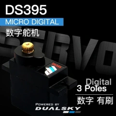 DS395