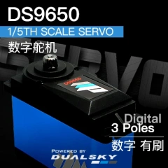 DS9650