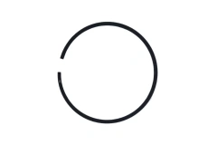 piston ring