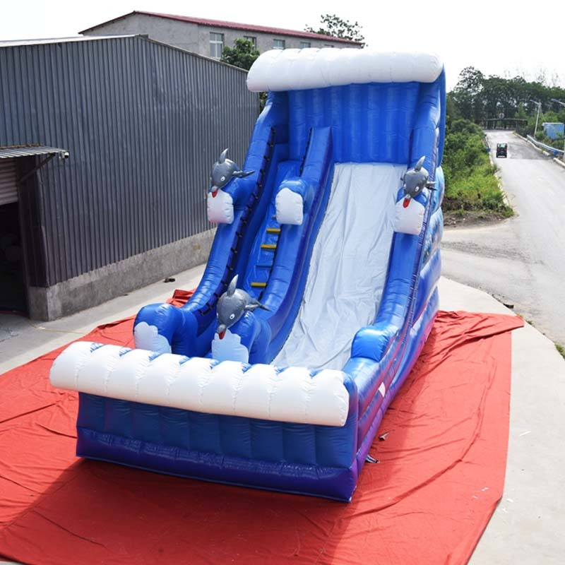 Blue Wave Dolphin water slide