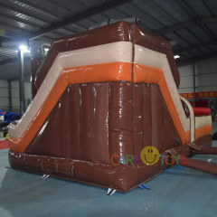 Pirate Theme Bounce house slide combo