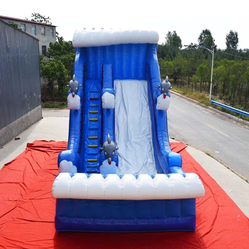 Blue Wave Dolphin water slide