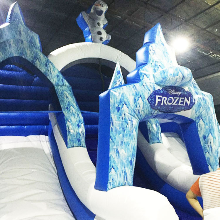 dual lane Frozen inflatable water slide