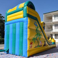 Minion theme water slide
