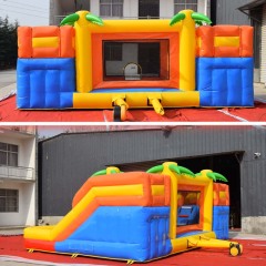 Rainforest Bouncer with dual lane slide