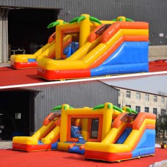 Rainforest Bouncer with dual lane slide
