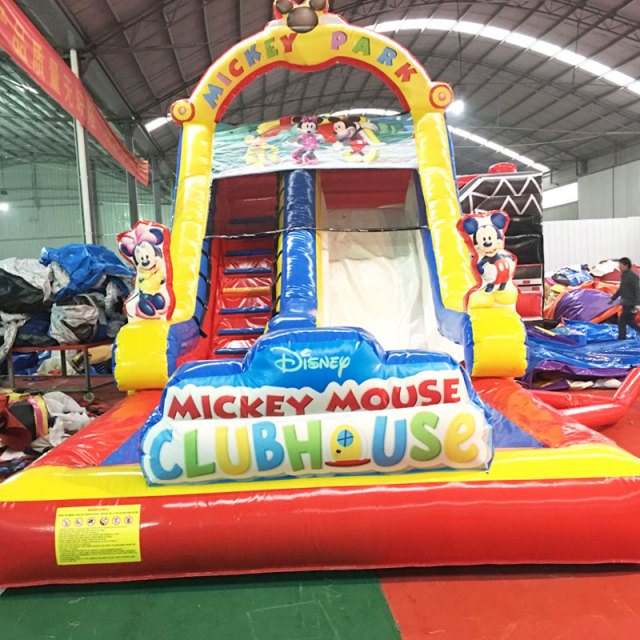Mickey mouse water slide