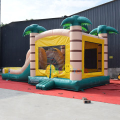 Palm Tree Tropicl Bouncer with water slide combo