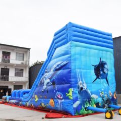 Giant outdoor sea world inflatable water slide