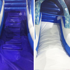 dual lane Frozen inflatable water slide