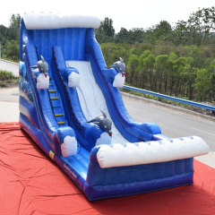 Blue Wave Dolphin water slide