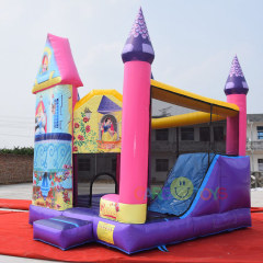 Princess Collection 5 in 1 inflatable combo