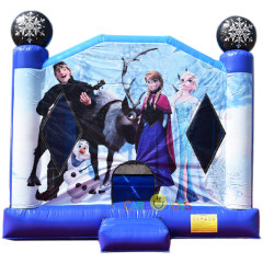Frozen bounce house