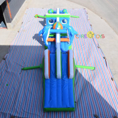 dolphin theme water obstacle course
