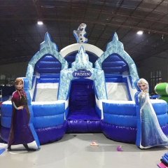 dual lane Frozen inflatable water slide