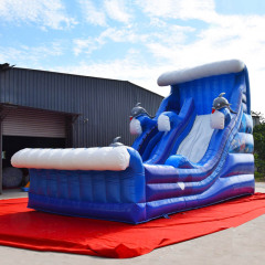 Blue Wave Dolphin water slide