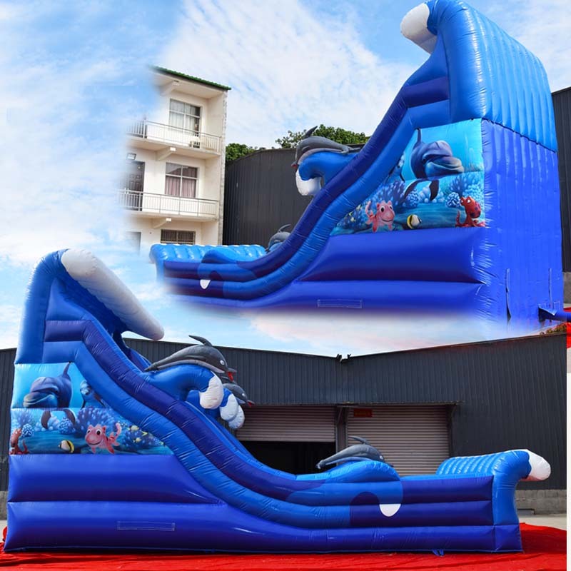 Blue Wave Dolphin water slide