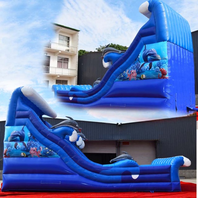 Blue Wave Dolphin water slide