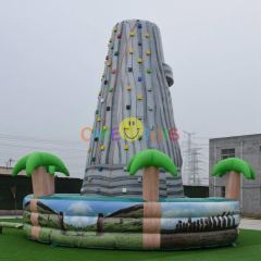 Tiki island climbing wall