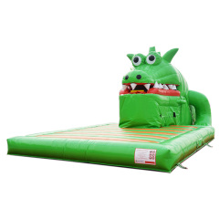 Snappy Crocodile inflatable slide