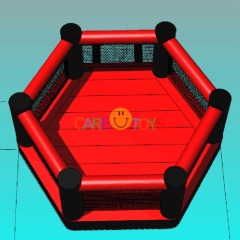 Hexagon Boxing Ring